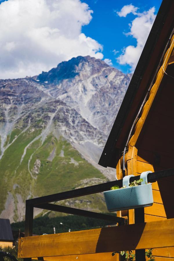 Kazbegi Folk Apartment Exterior photo
